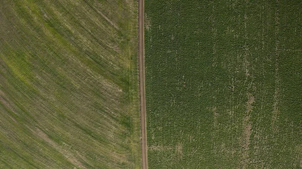 Een Antenne Uitzicht Van Een Landschap Van Een Veld Onder — Stockfoto