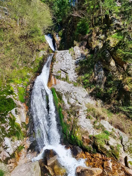 Nemzeti Park Elzászban Franciaország Németország Területe Európa — Stock Fotó