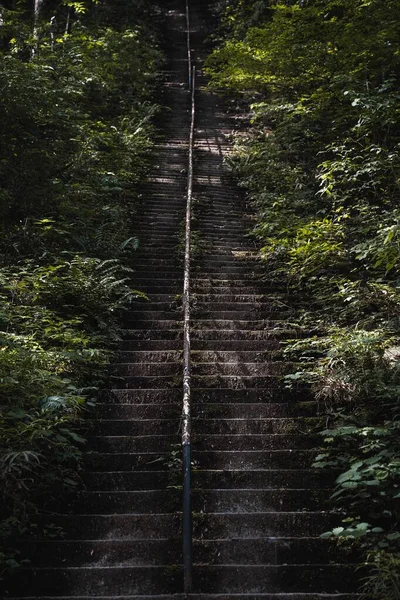 Tiro Vertical Das Escadas Velhas Cobertas Musgo Parque — Fotografia de Stock