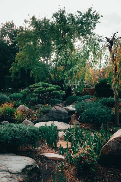 Прекрасний Вид Месмеризуючого Характеру Традиційному Японському Саду Аделаїди Хімеджі — стокове фото