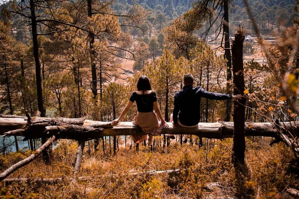Couple Assis Sur Une Bûche Sur Une Montagne Surplombant Vallée — Photo