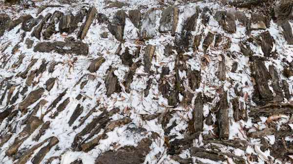 Ένα Κοντινό Πλάνο Των Βράχων Καλυμμένο Χιόνι — Φωτογραφία Αρχείου
