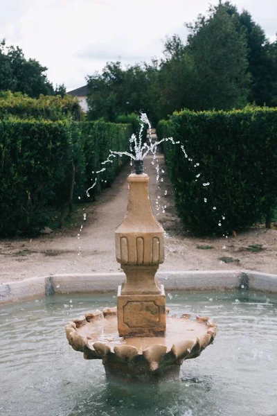 Plan Vertical Une Fontaine Eau Centre Jardin Verdoyant — Photo
