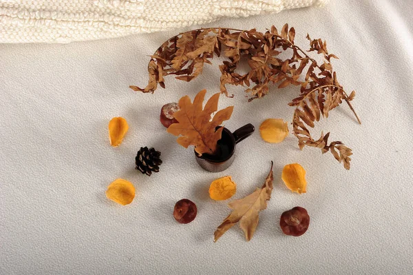 Μια Εναέρια Λήψη Από Ξεθωριασμένα Καφέ Φύλλα Μικροσκοπική Κανάτα Κάστανα — Φωτογραφία Αρχείου