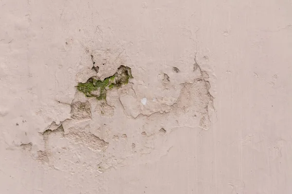 Ucuz Boya Kalitesinden Dolayı Duvarın Içindeki Mantarın Yakın Plan Çekimi — Stok fotoğraf