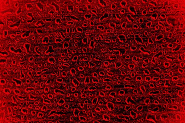 Illustrazione Gocce Pioggia Uno Sfondo Rosso Grande Sfondi — Foto Stock
