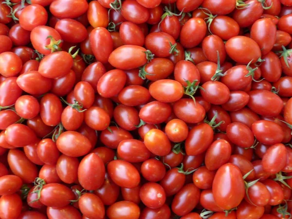 Una Toma Alto Ángulo Tomates Cherry Recién Cosechados —  Fotos de Stock