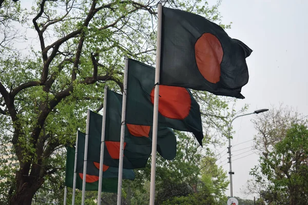 Een Rij Van Kleine Bangladesh Vlaggen Zwaaiend Wind Een Park — Stockfoto