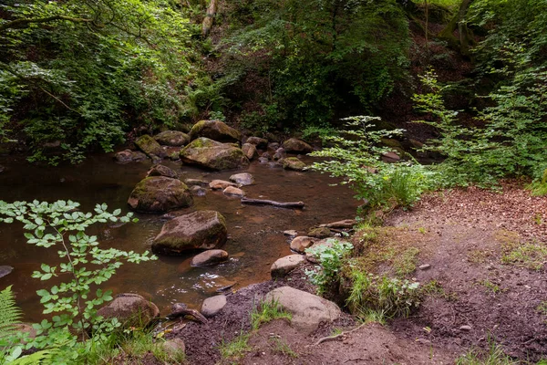 Gyönyörű Táj Polkemmet Country Park Lélegzetelállító Zöldellő Nappal — Stock Fotó