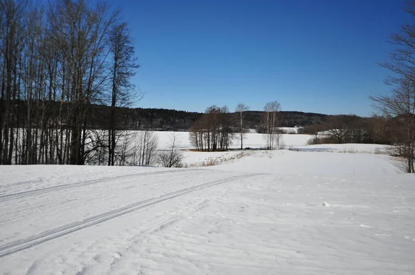 Uma Bela Paisagem Inverno Com Trilhas Esqui Direção Lago Congelado — Fotografia de Stock