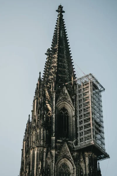 Een Lage Hoek Opname Van Een Kathedraal Van Keulen Keulen — Stockfoto