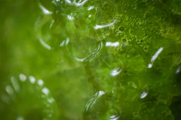 Gros Plan Des Bulles Smoothie Frais Couleur Verte — Photo