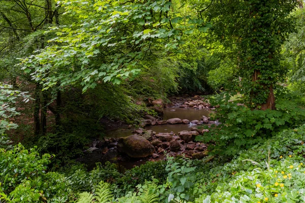 Eine Wunderschöne Landschaft Des Landschaftsparks Polkemmet Mit Atemberaubendem Grün Tag — Stockfoto