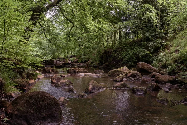 Vacker Natur Polkemmet Country Park Med Hisnande Grönska Dagtid — Stockfoto