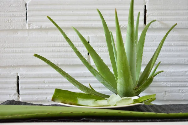 Primo Piano Una Pianta Aloe Vera Con Succo Interno Una — Foto Stock