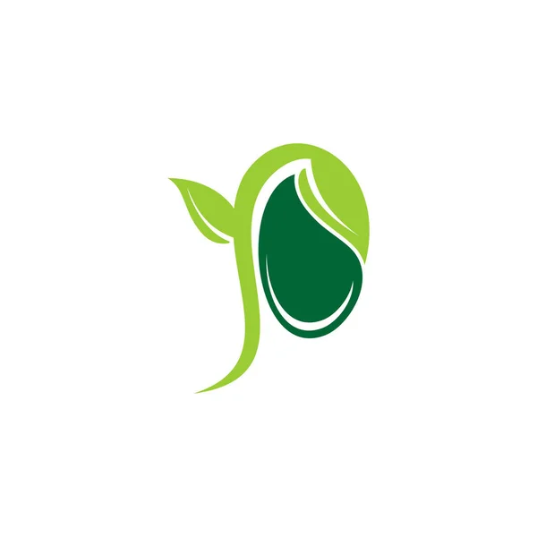 A simple logo illustration of a green seed for organic eco-friendly companies