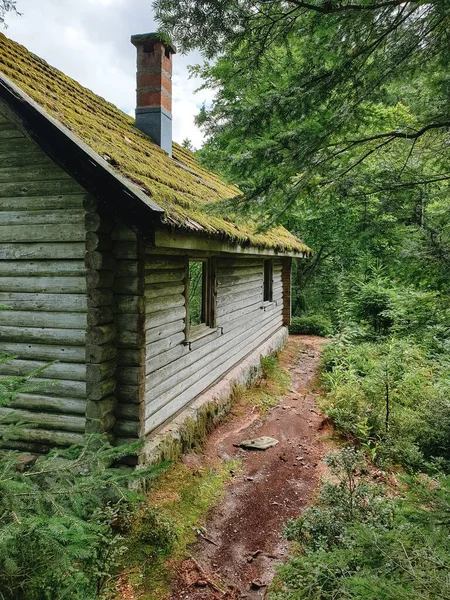 Een Verticaal Schot Van Oud Van Hout Huis Een Woud — Stockfoto