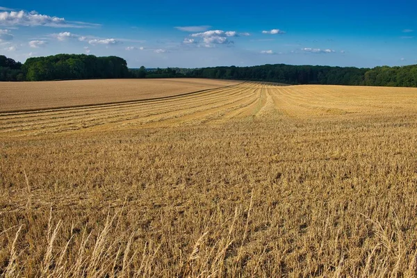Ein Panoramabild Von Einem Sehr Weiten Feld Das Gerade Geerntet — Stockfoto