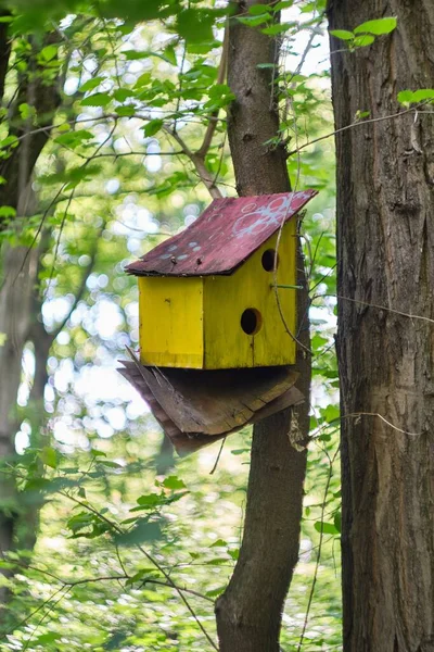 Ağaçtaki Ahşap Kuş Evinin Dikey Seçmeli Odak Noktası — Stok fotoğraf