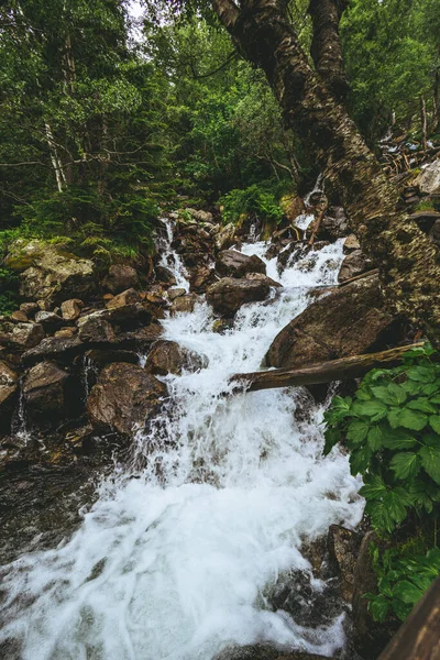 Vertikální Záběr Lesního Vodopádu — Stock fotografie