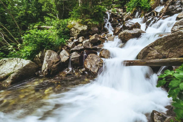 Nahaufnahme Eines Waldwasserfalls — Stockfoto