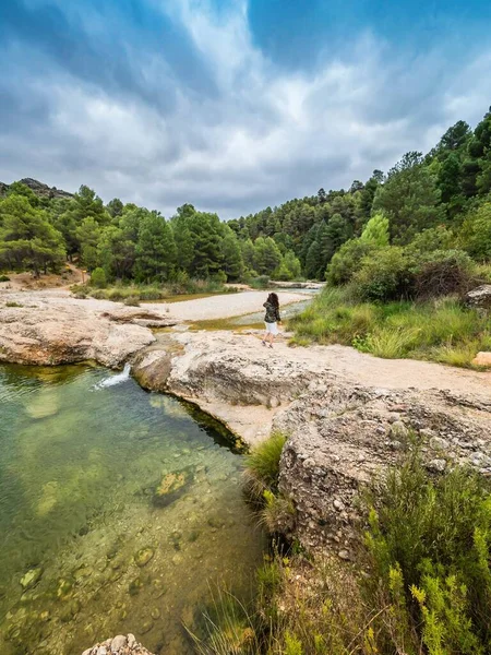 Plano Vertical Una Hembra Trekking Por Bosque —  Fotos de Stock