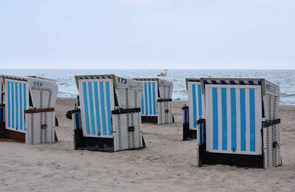 Plaj Sandalyeli Baltık Denizi Kıyısında — Stok fotoğraf