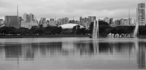 ブラジルのサンパウロの池と都市のスカイラインのグレースケールショット — ストック写真
