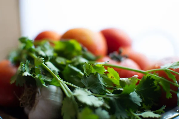 Närbild Färska Tomater Och Koriander — Stockfoto