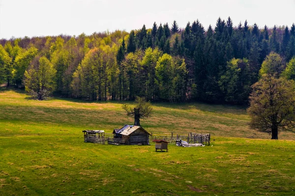 Une Belle Vue Sur Une Bergerie Abandonnée Dans Champ — Photo