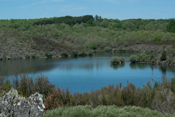 Uma Floresta Verde Com Uma Lagoa Sob Céu Azul — Fotografia de Stock
