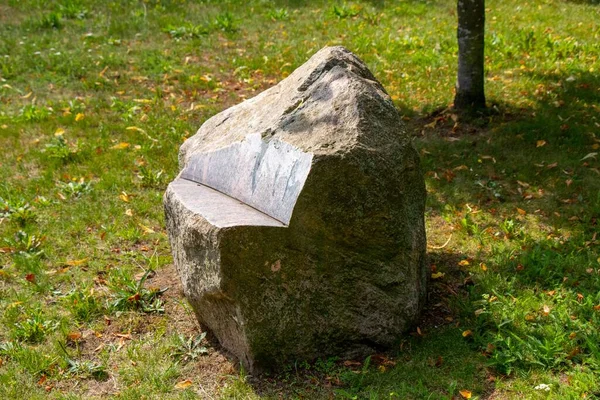 Detailní Záběr Velkého Kamene Trávě — Stock fotografie
