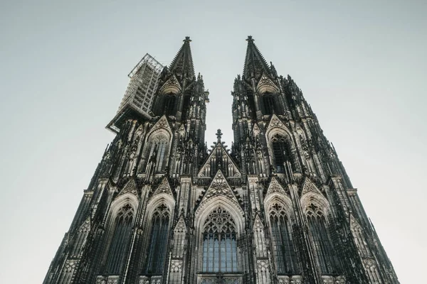 Низький Кутовий Знімок Кельнського Собору Кельні Німеччина — стокове фото