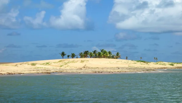 Eine Atemberaubende Landschaft Mit Einer Wunderschönen Küste Aracaju Brasilien — Stockfoto