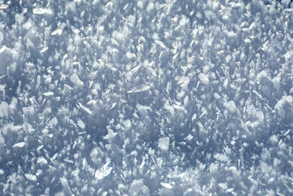 Closeup Shot Morning Sun Hitting Grass Covered Snow — Stock Photo, Image