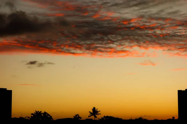 Palmiye Ağacının Siluetiyle Gün Batımının Nefes Kesici Manzarası — Stok fotoğraf