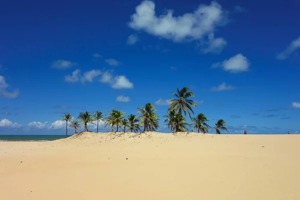 Een Adembenemend Landschap Van Een Prachtige Kustlijn Aracaju Brazilië — Stockfoto