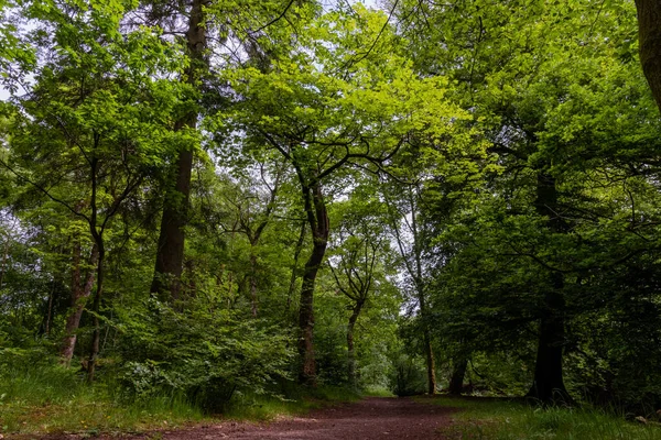 Gündüz Vakti Nefes Kesici Yeşillikle Polkemmet Kır Parkının Güzel Bir — Stok fotoğraf