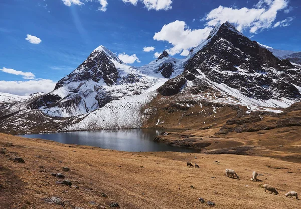 Μια Εκπληκτική Θέα Του Όμορφου Χιονισμένου Βουνού Ausangate Στο Περού — Φωτογραφία Αρχείου
