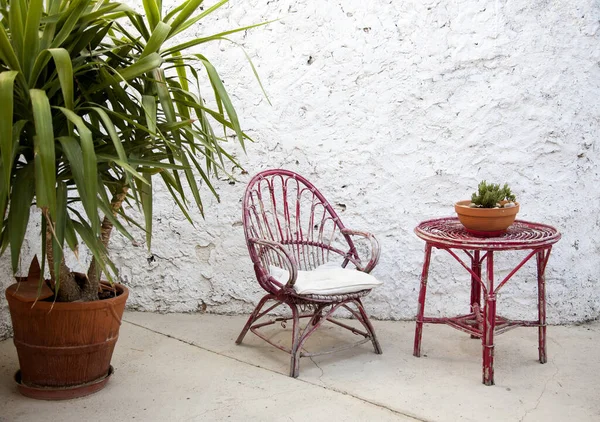 Pink Chair Table Potted Palm Tree Front White Grunge Wall — Stock Photo, Image