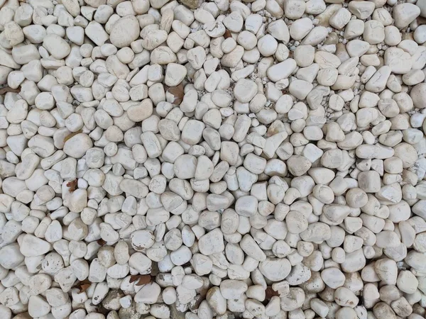 Eine Nahaufnahme Von Weißen Natürlichen Kieselsteinen Perfekt Für Den Hintergrund — Stockfoto