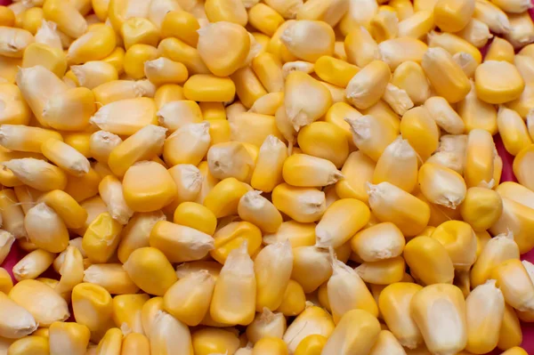 Eine Nahaufnahme Von Mais Als Hintergrund — Stockfoto
