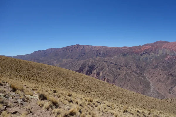 Ein Trockenes Wüstengebiet Mit Vielen Kakteenpflanzen Umgeben Von Bergen Argentinien — Stockfoto