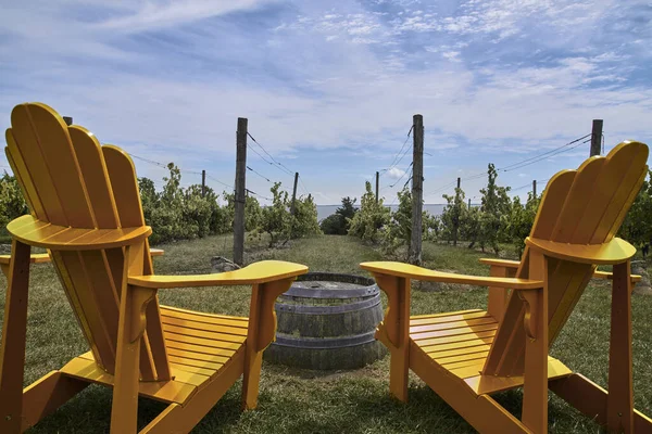 Plan Rapproché Deux Chaises Pliantes Dans Vignoble Sous Ciel Nuageux — Photo