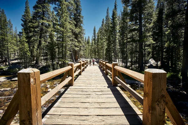 Dřevěná Paluba Krásném Národním Parku Yosemite Kalifornii Usa — Stock fotografie