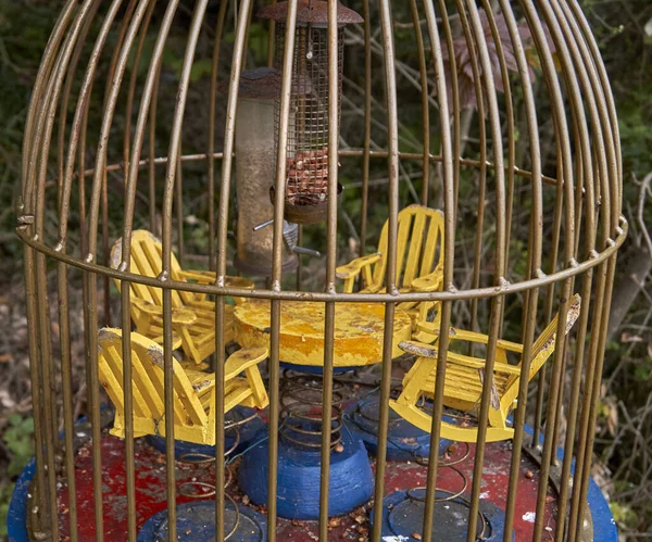 Une Petite Cage Pour Oiseau Avec Des Graines Petites Chaises — Photo