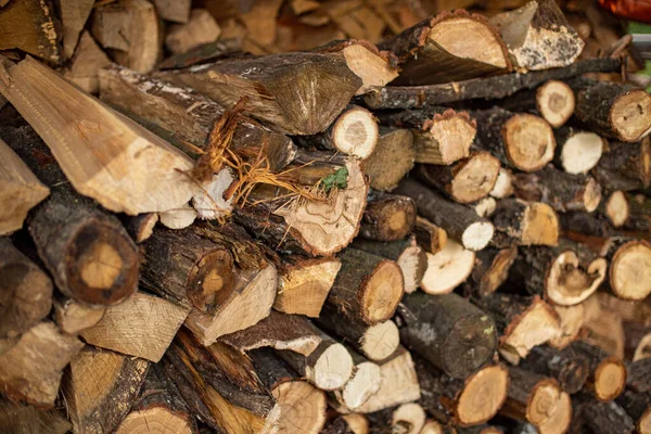 Bois Chauffage Coupé Collé Sur Autre Dans Support Bois Chauffage — Photo