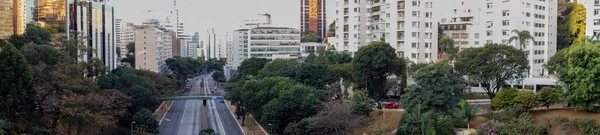 Uno Scatto Panoramico Viale Nella Città San Paolo Brasile — Foto Stock