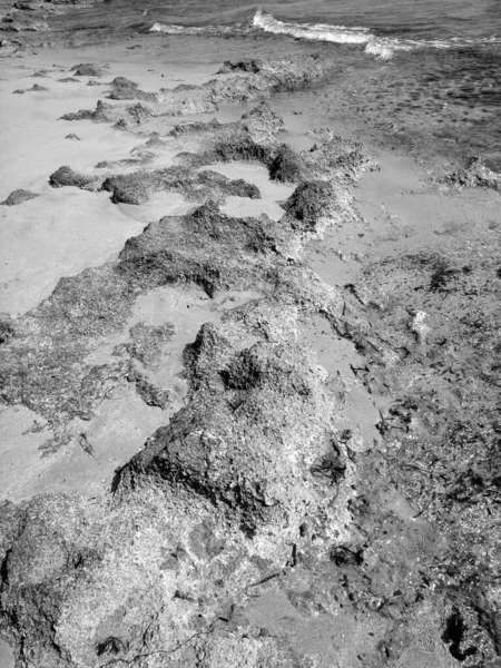 Una Toma Escala Grises Las Olas Del Mar Golpeando Playa — Foto de Stock