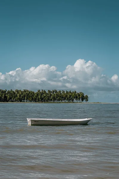 Een Verticaal Schot Van Een Witte Boot Een Meer — Stockfoto